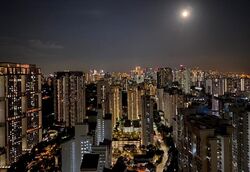 Queens Peak (D3), Condominium #583951261